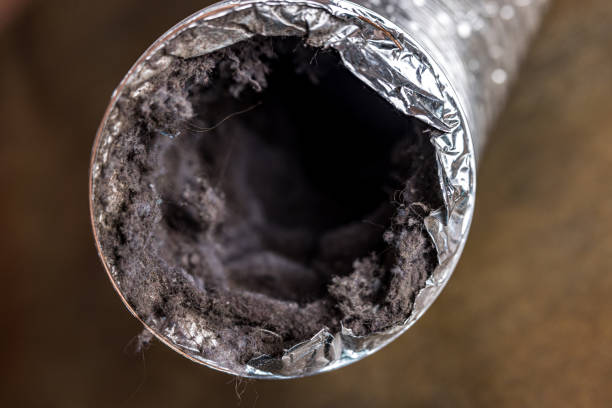 Best Duct Cleaning Specialists  in Clifton Heights, PA