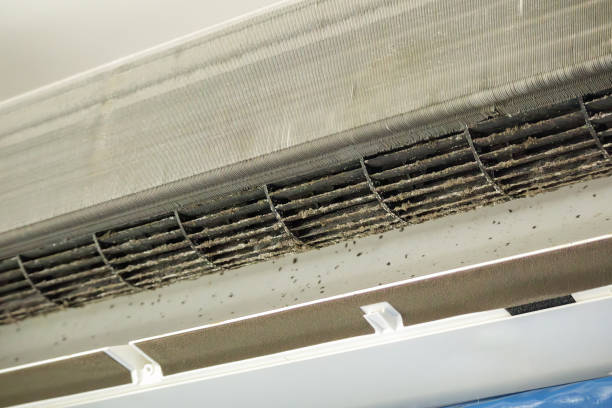 Best Residential Air Duct Cleaning  in Clifton Heights, PA